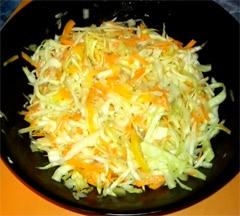 Cabbage Carrot Apple and Orange Pepper Salad