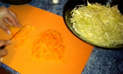 Cabbage Carrot Apple and Orange Pepper Salad2