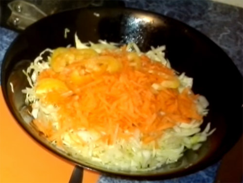 Cabbage Carrot Apple and Orange Pepper Salad3