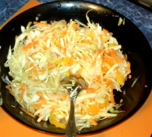 Cabbage Carrot Apple and Orange Pepper Salad4
